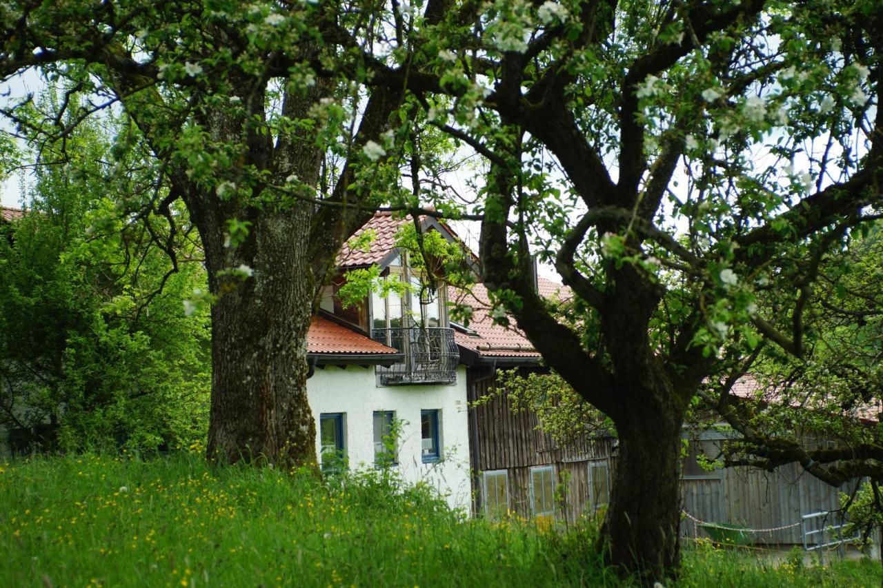 Untrasried Moosmuehle Allgaeu المظهر الخارجي الصورة