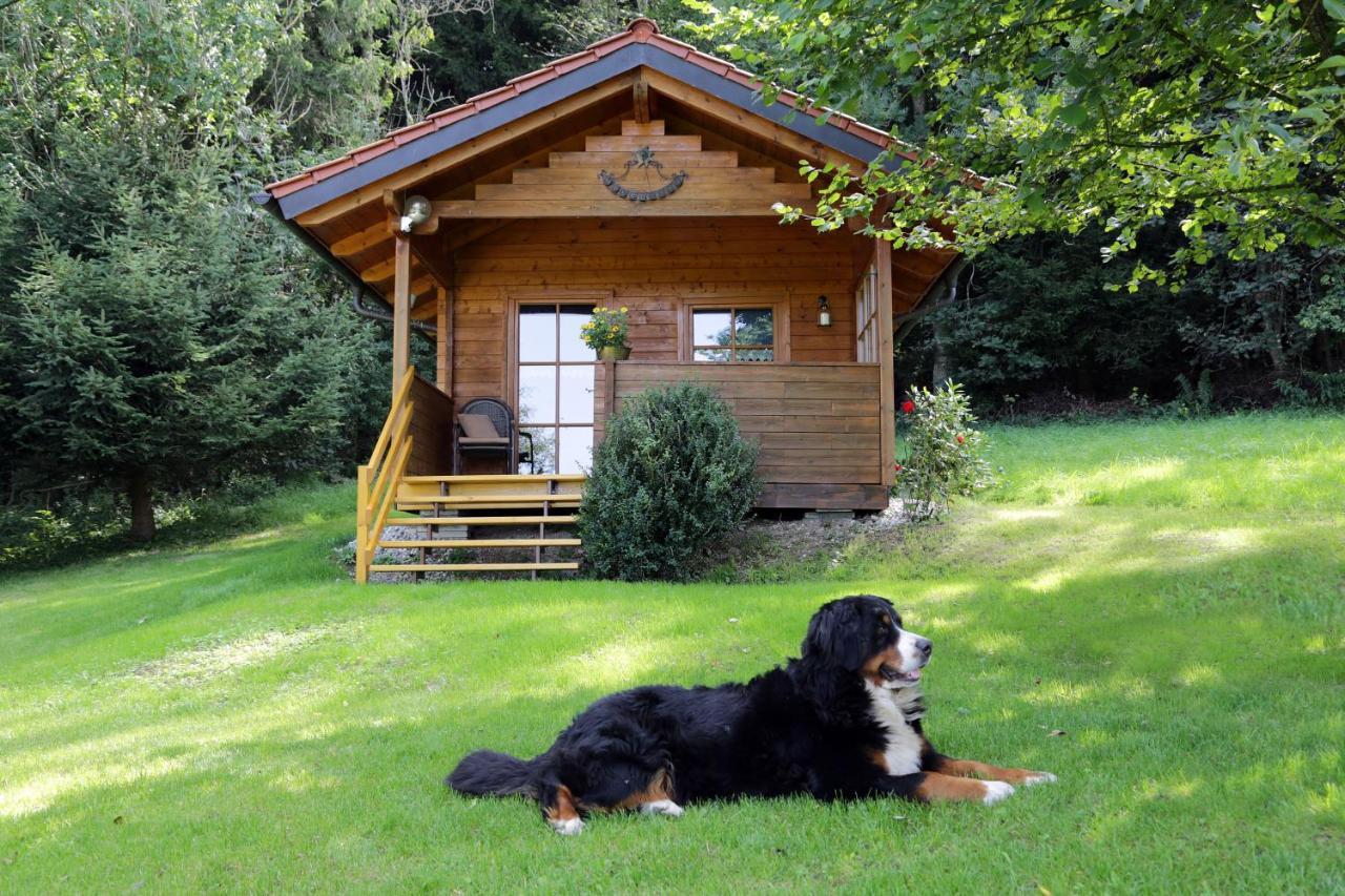 Untrasried Moosmuehle Allgaeu المظهر الخارجي الصورة