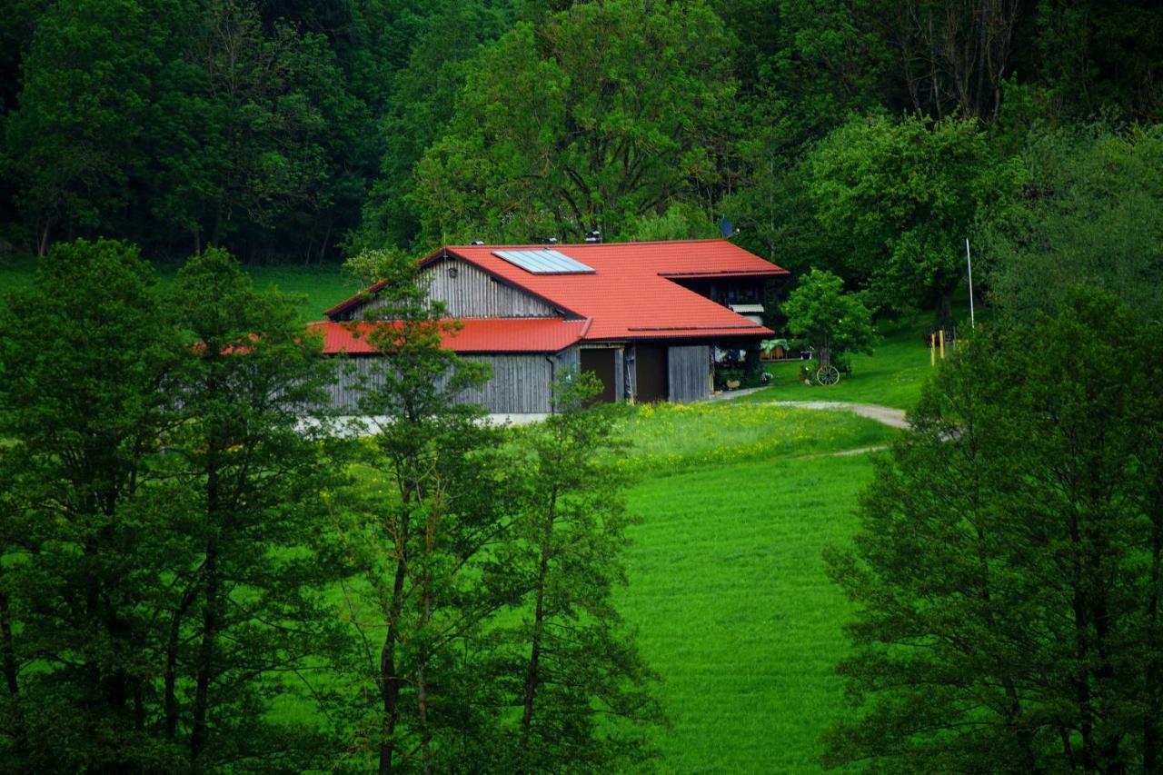 Untrasried Moosmuehle Allgaeu المظهر الخارجي الصورة